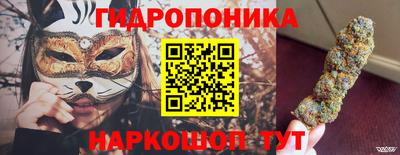 эйфоретик Краснодар
