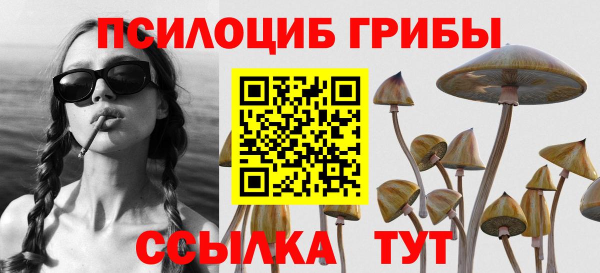 Галлюциногенные грибы мицелий Соль-Илецк