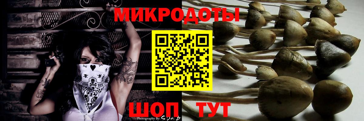 Галлюциногенные грибы MAGIC MUSHROOMS  Вход с VPN  Соль-Илецк 